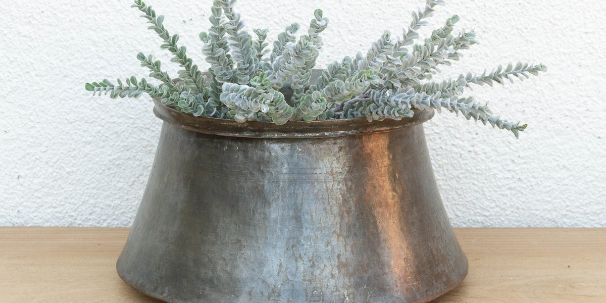 antique copper plant pots Large Antique Indian Zinc Copper Pot (15") | Minimalist Planter