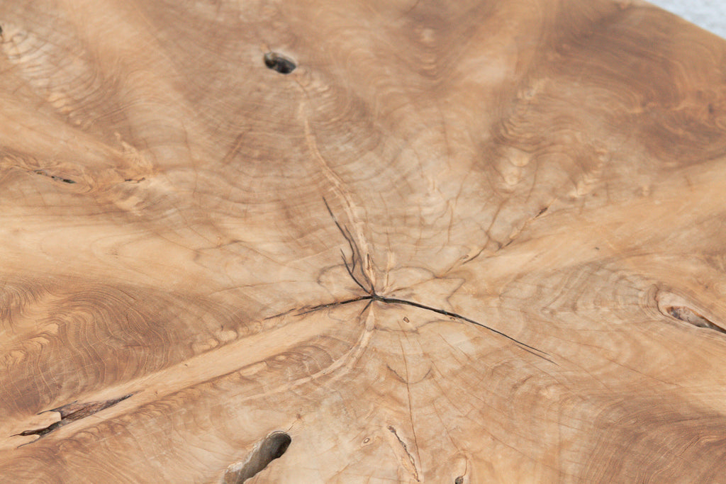 Sculptural Live Form Teak Root Coffee Table
