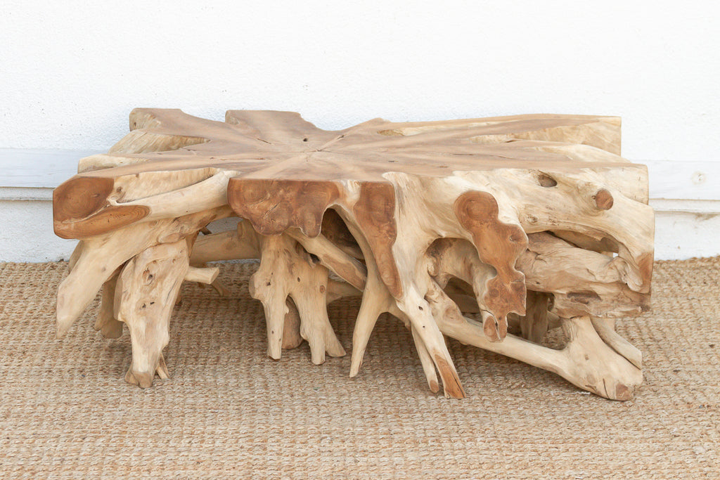 Sculptural Live Form Teak Root Coffee Table