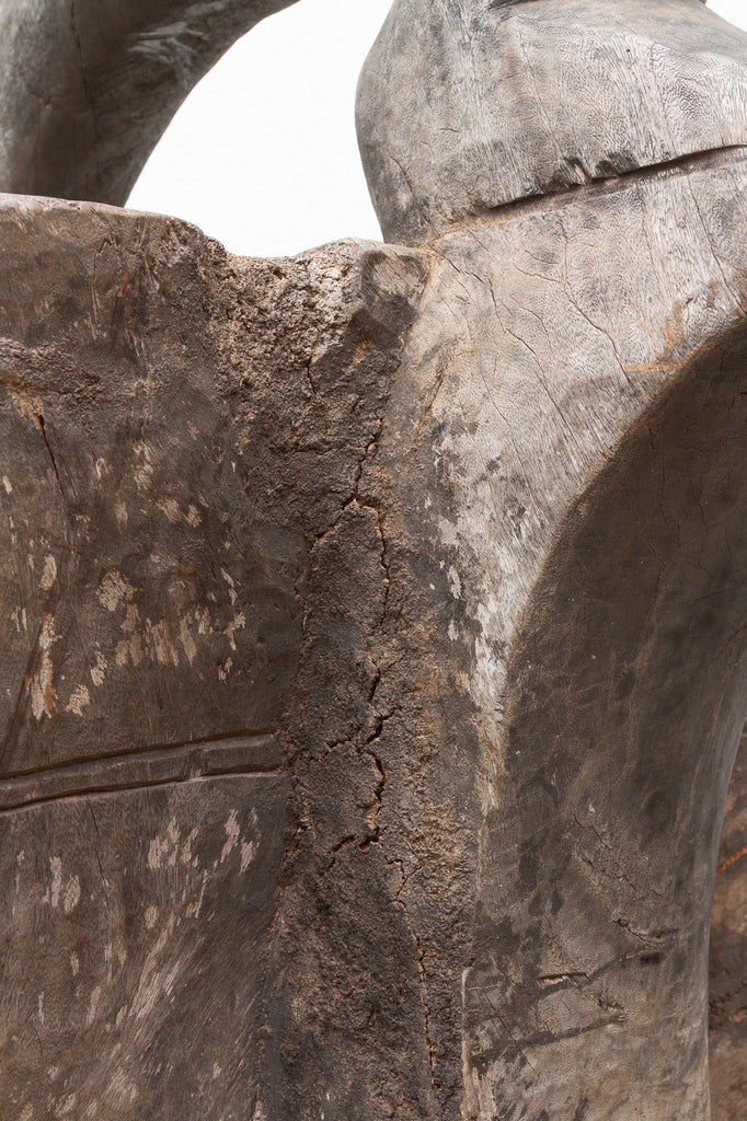 The Striding Ancestor 82