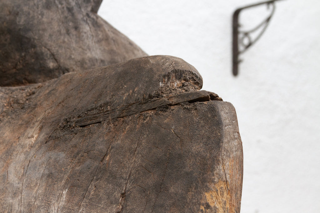 The Striding Ancestor 82