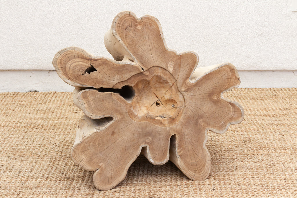 Handcrafted Freeform Teak Coffee Table