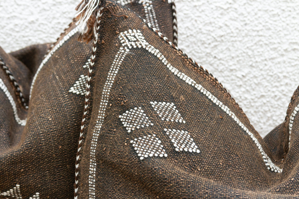 Pair of Desert Ember Silk Rug Pillows