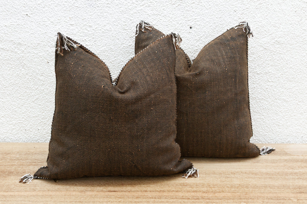 Pair of Desert Ember Silk Rug Pillows