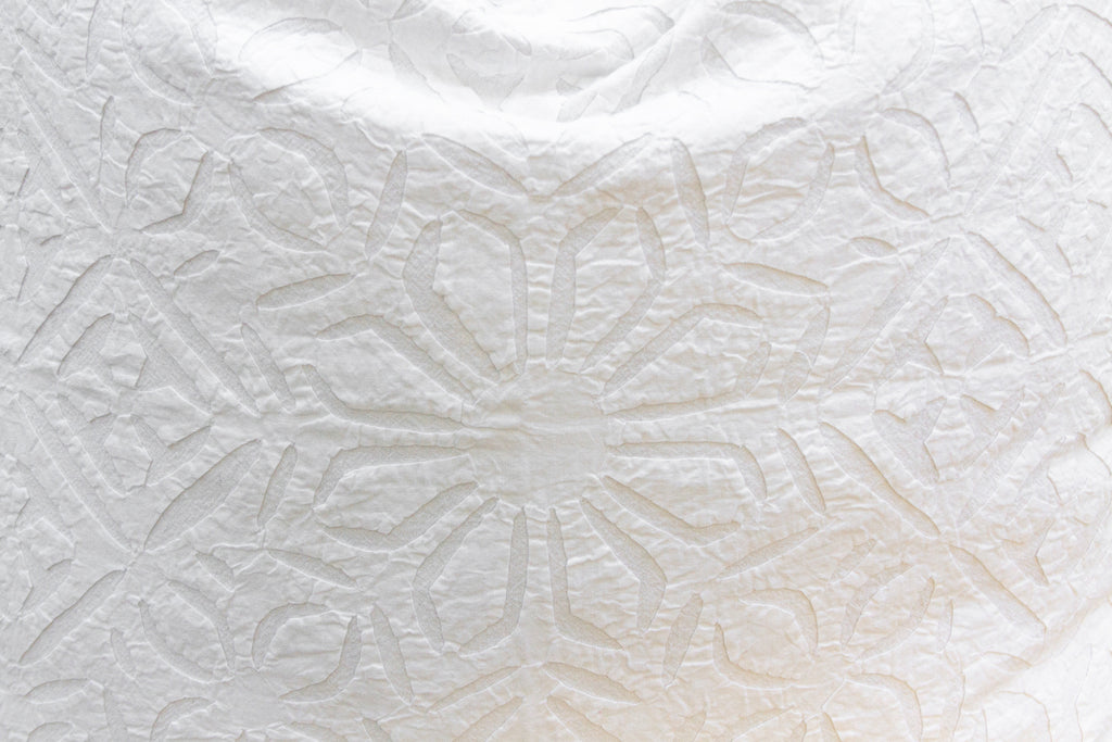 Bare Wheat Euro Applique Pillow Cover