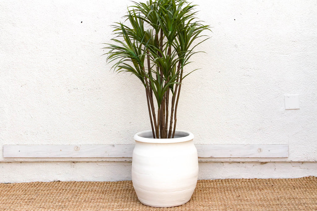 Rounded Paros White Mediterranean Terracotta Pot