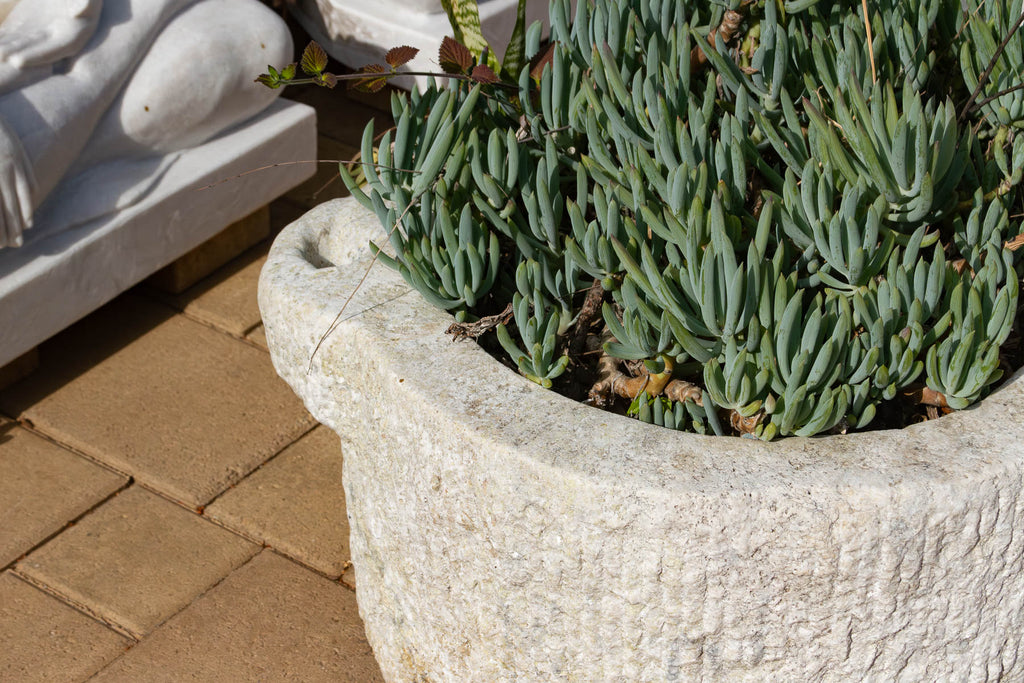 Monumental Chiseled Alabaster Marble Basin (Trade)