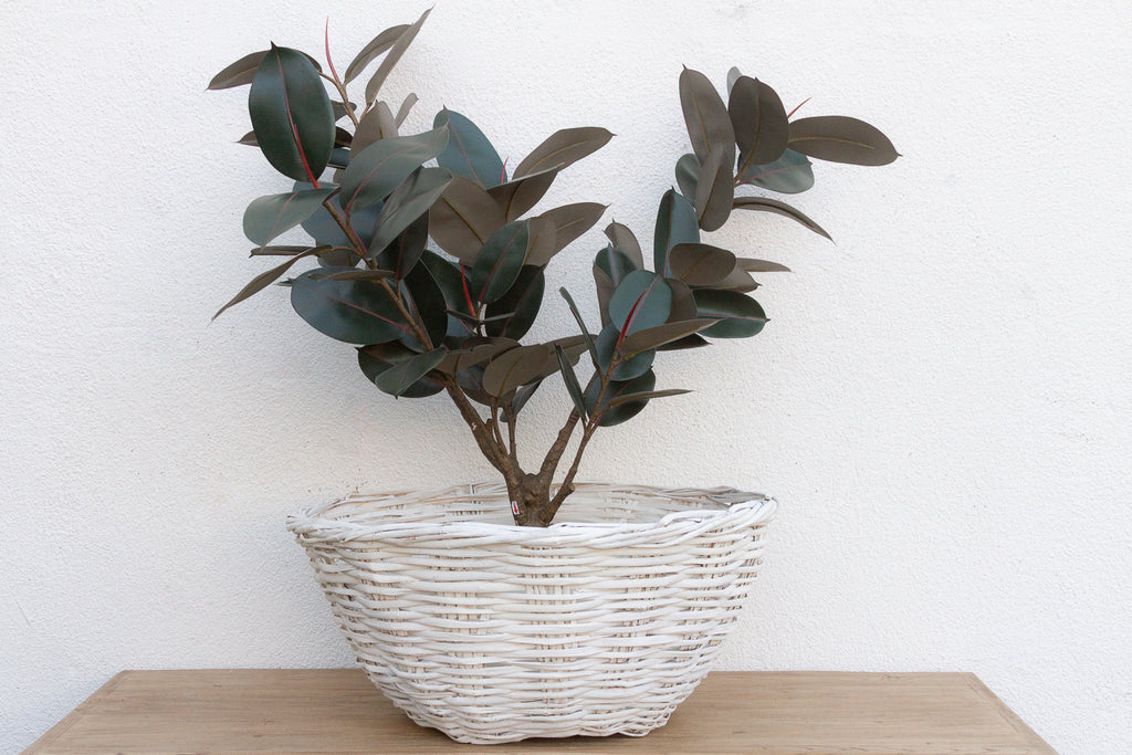 Grand Vintage French Provincial Basket