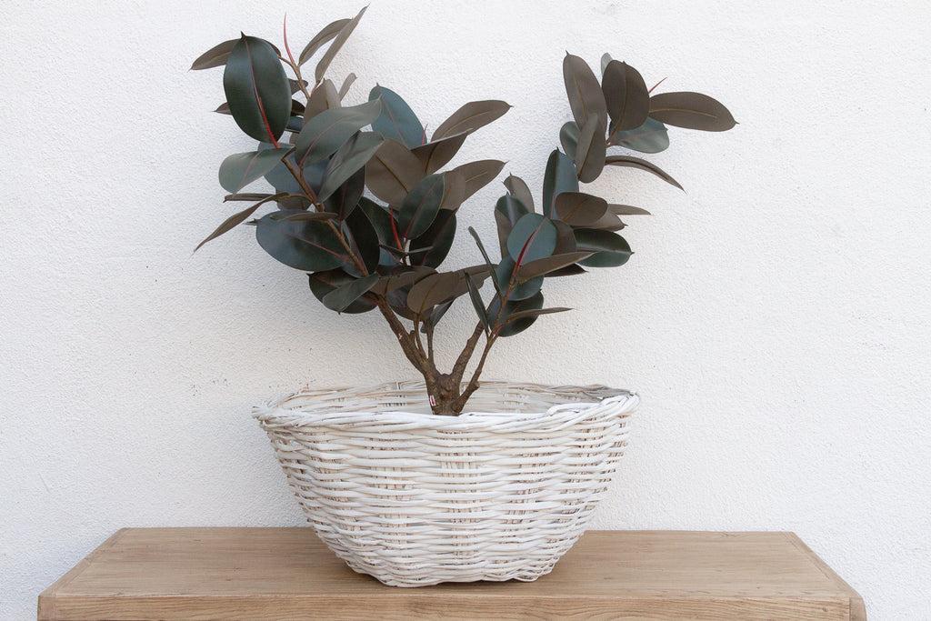 Grand Vintage French Provincial Basket