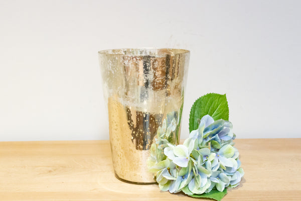 Elegant Decorative Silvered Glass Vase