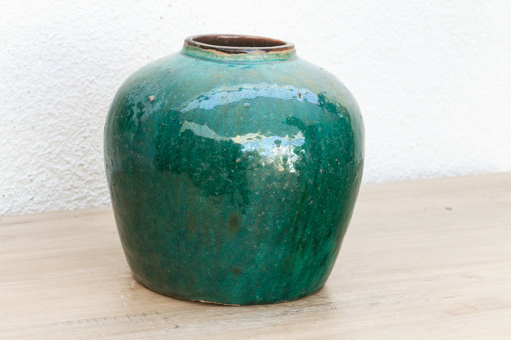 Lush Fern Glazed Asian Vase
