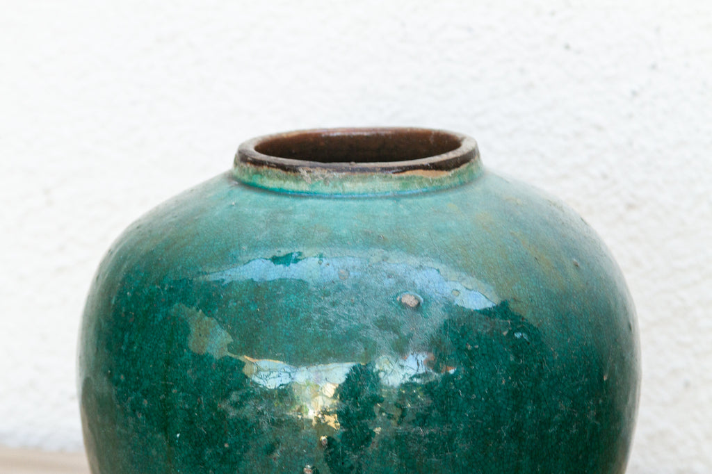 Lush Fern Glazed Asian Vase