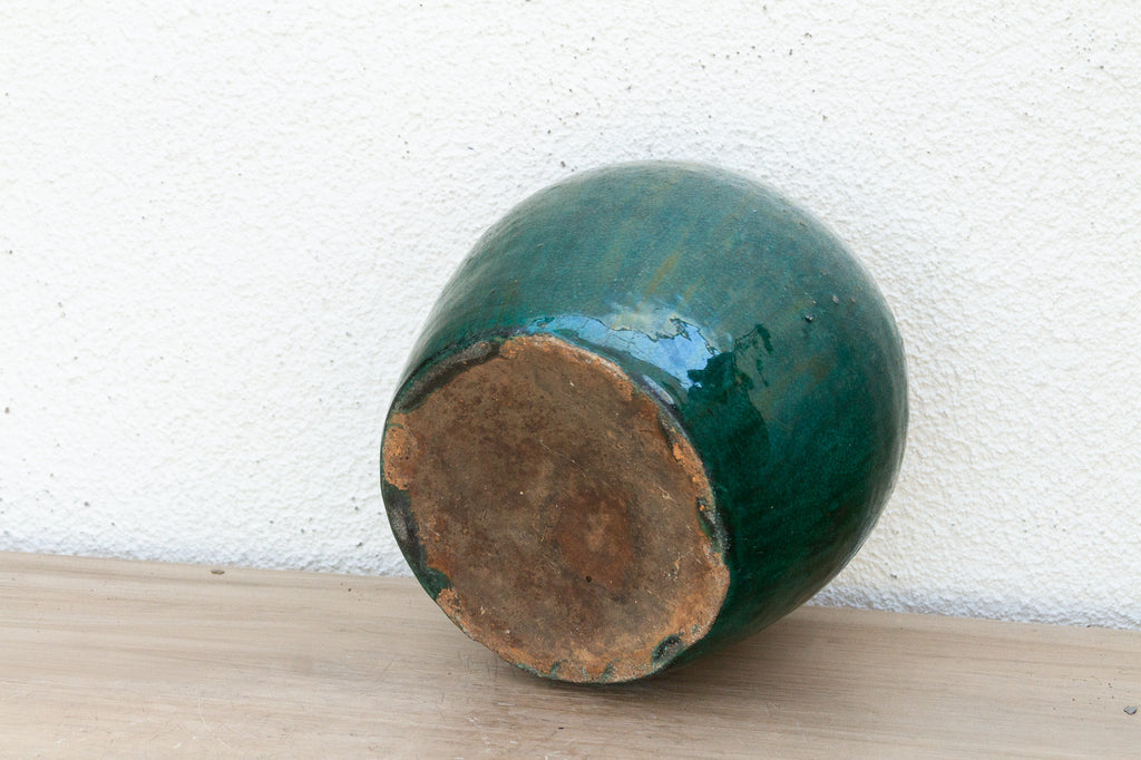 Lush Fern Glazed Asian Vase