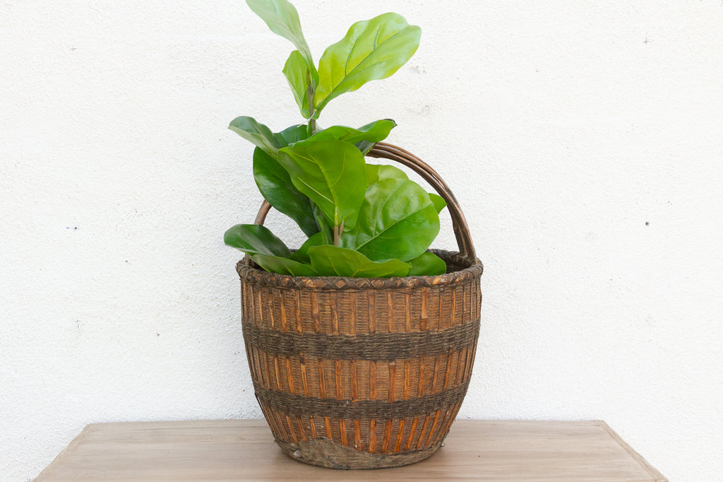 Old Farm Market Basket