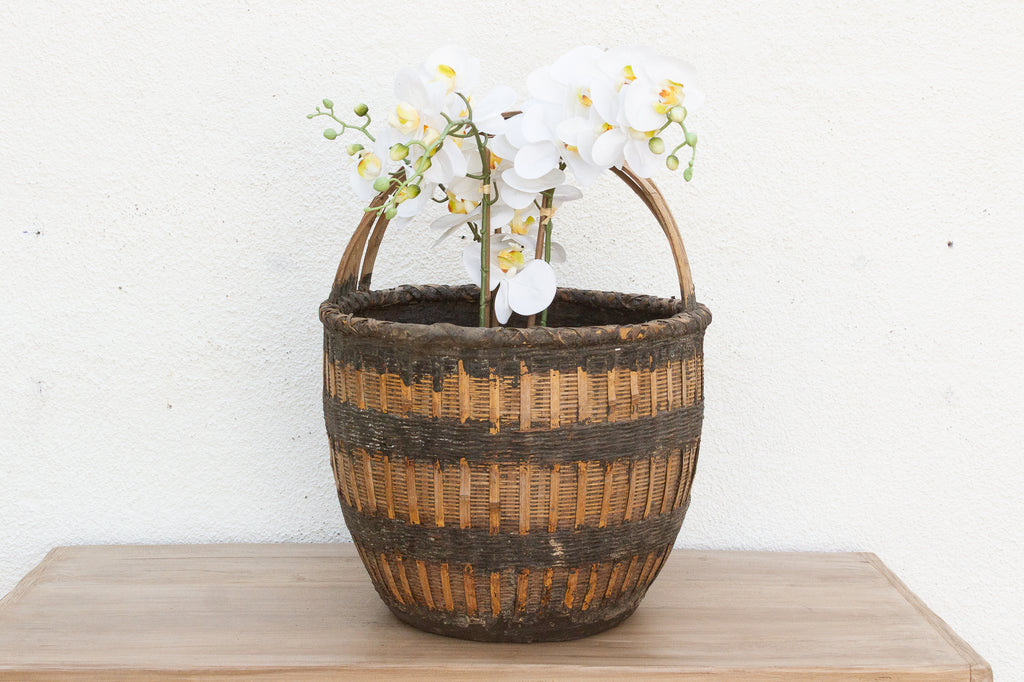 Country Farm Harvest Basket