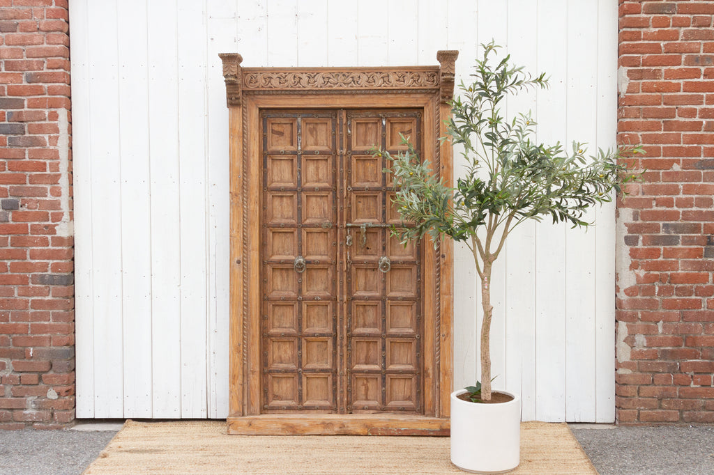 19th Century Indian Kutch Teak Door