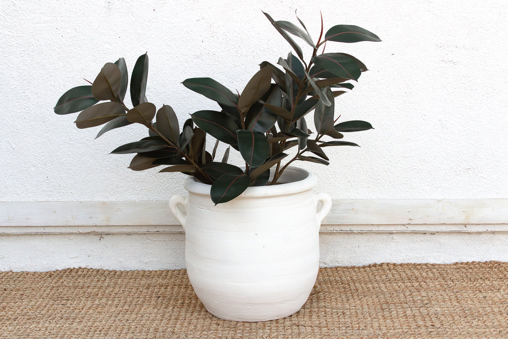 Rustic White Terracotta Mediterranean Planter (Trade)