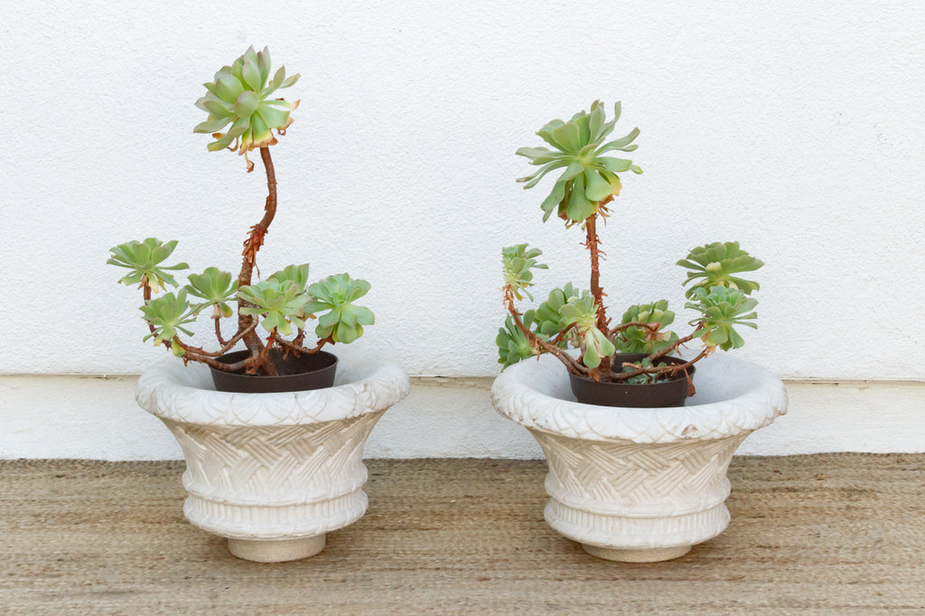 Set of Two French Marble Jardinieres (Trade)