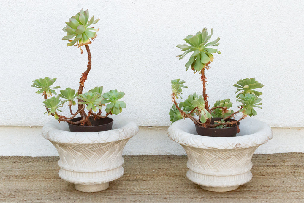 Set of Two French Marble Jardinieres (Trade)