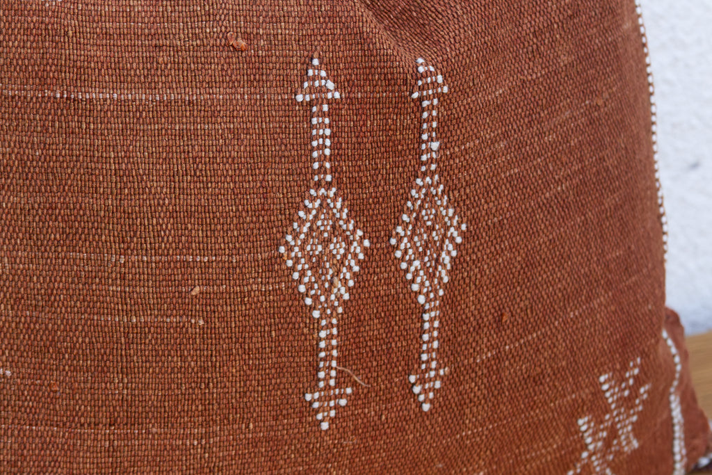 Rusted Lantern Cactus Silk Moroccan Pillow