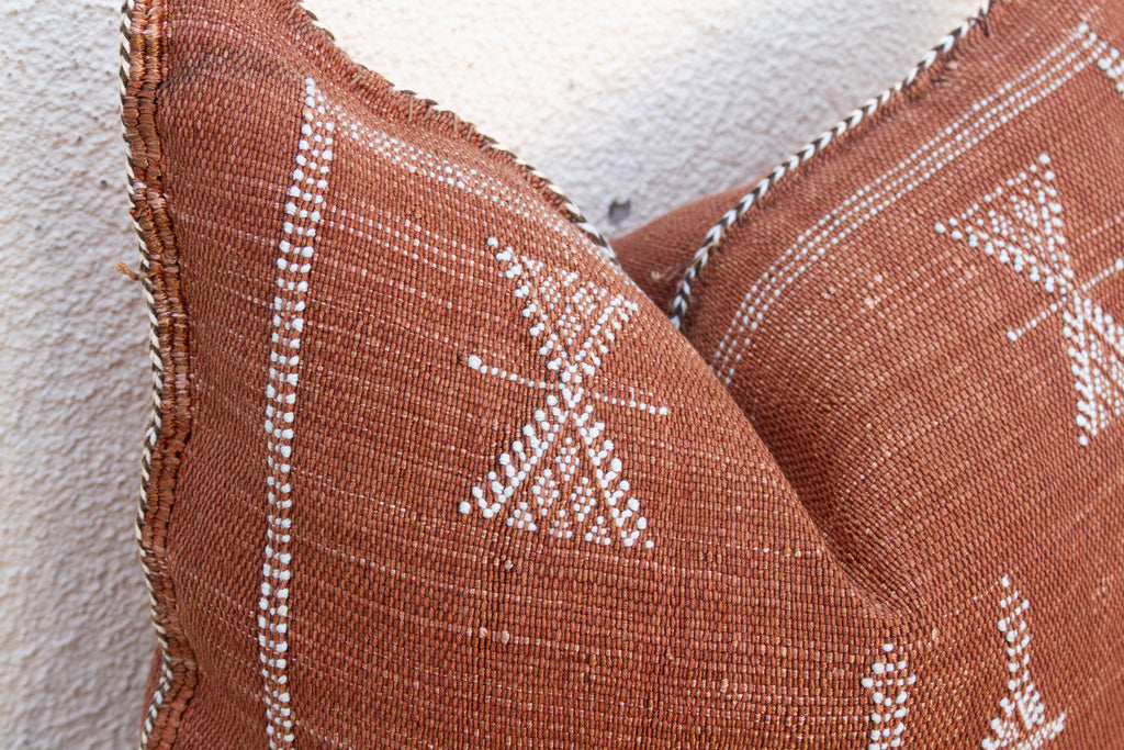 Rust Cascade Cactus Silk Moroccan Pillow