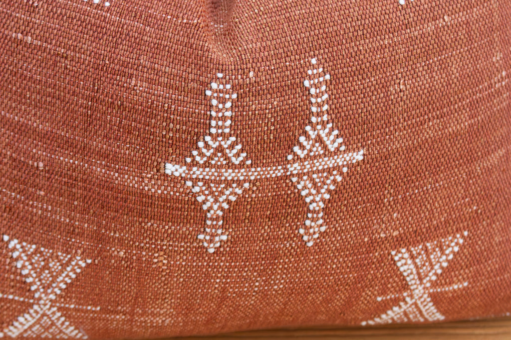 Rust Cascade Cactus Silk Moroccan Pillow
