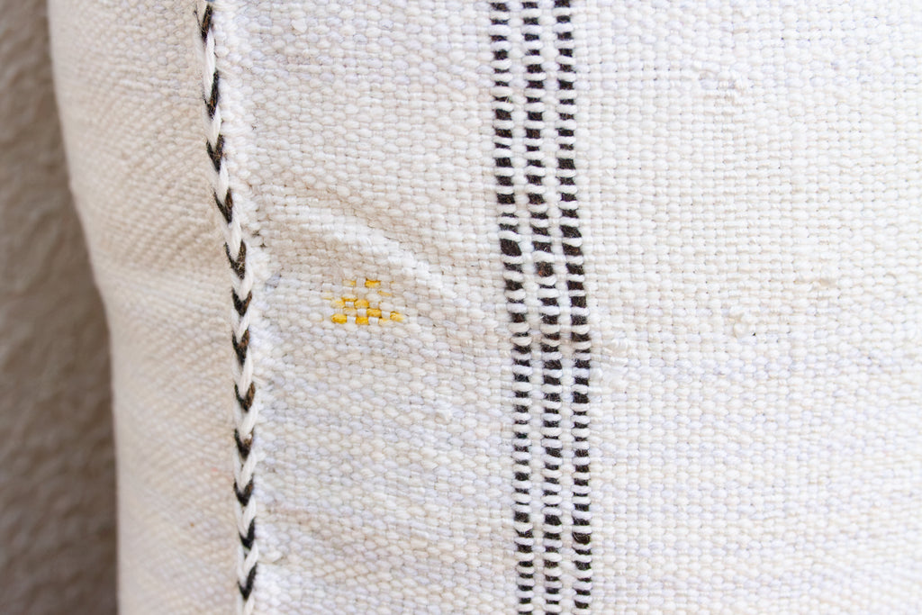 White & Charcoal Cactus Silk Moroccan Pillow