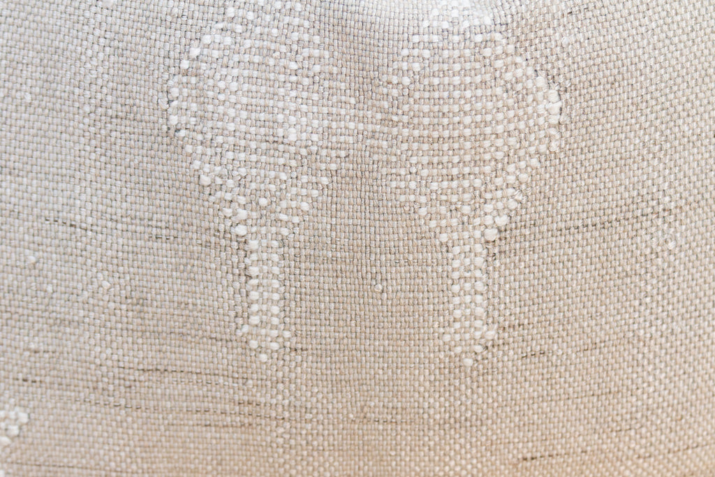 Set of 2, Linen Stag Cactus Silk Moroccan Pillows