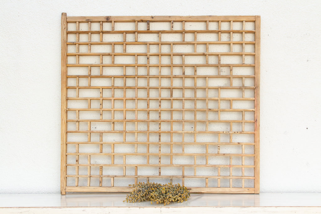 Large Antique Courtyard Window Screen