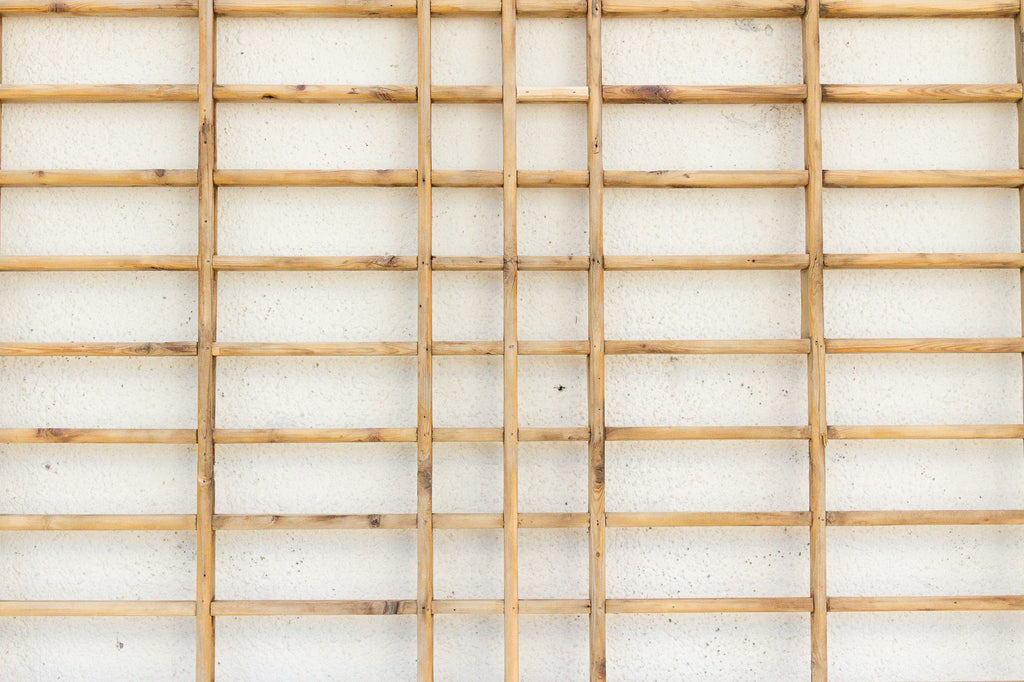 Rustic Asian Antique Architectural Screen