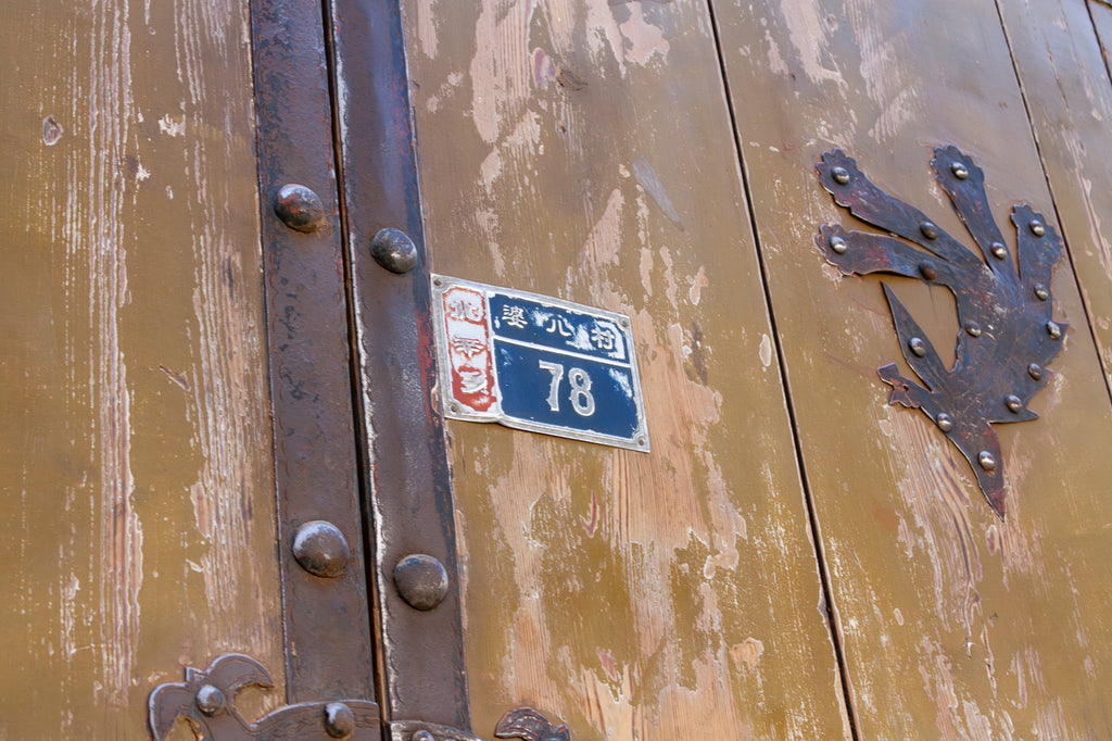 Impressive 19th Century Mongolian Painted Pair of Doors