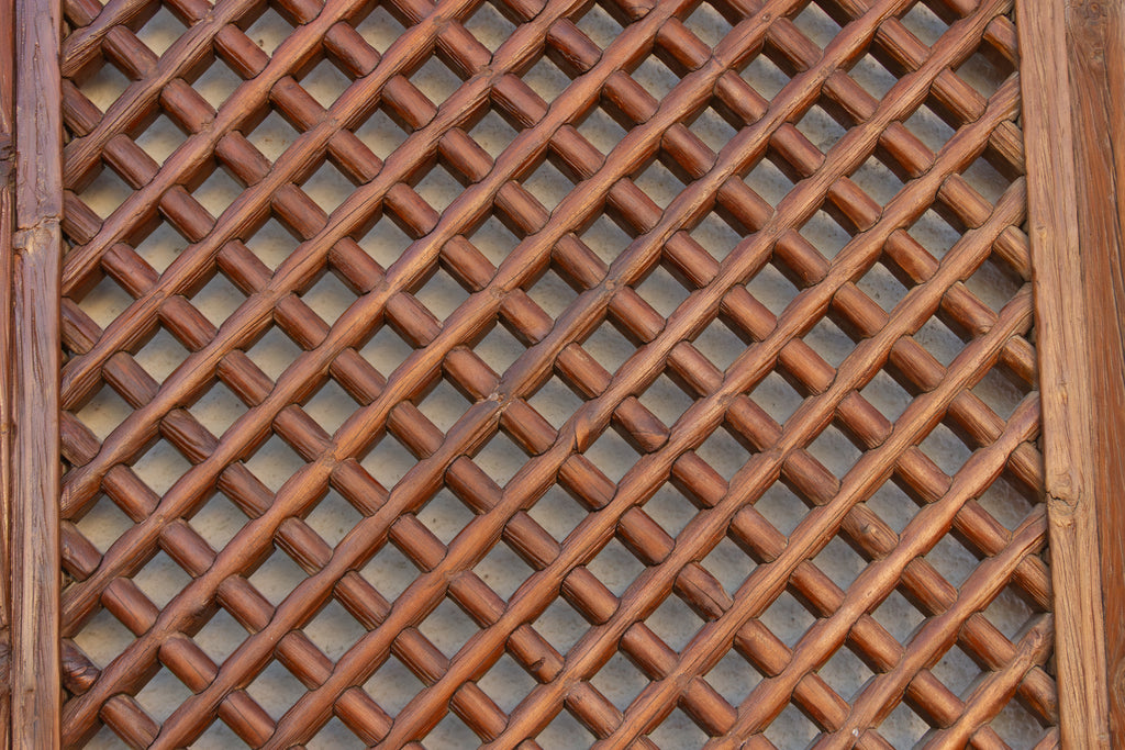 Early 20th Century Chinese Elm Wood Lattice Screen Door