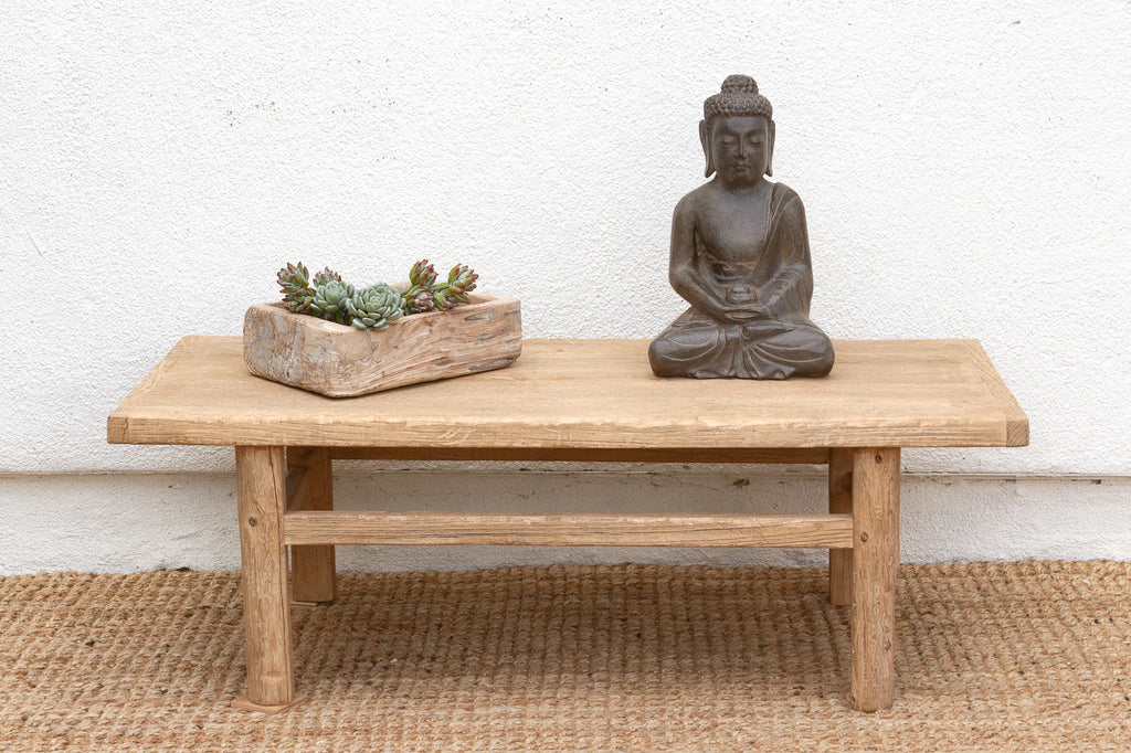 Coastal Chic Old Elm Coffee Table (Trade)