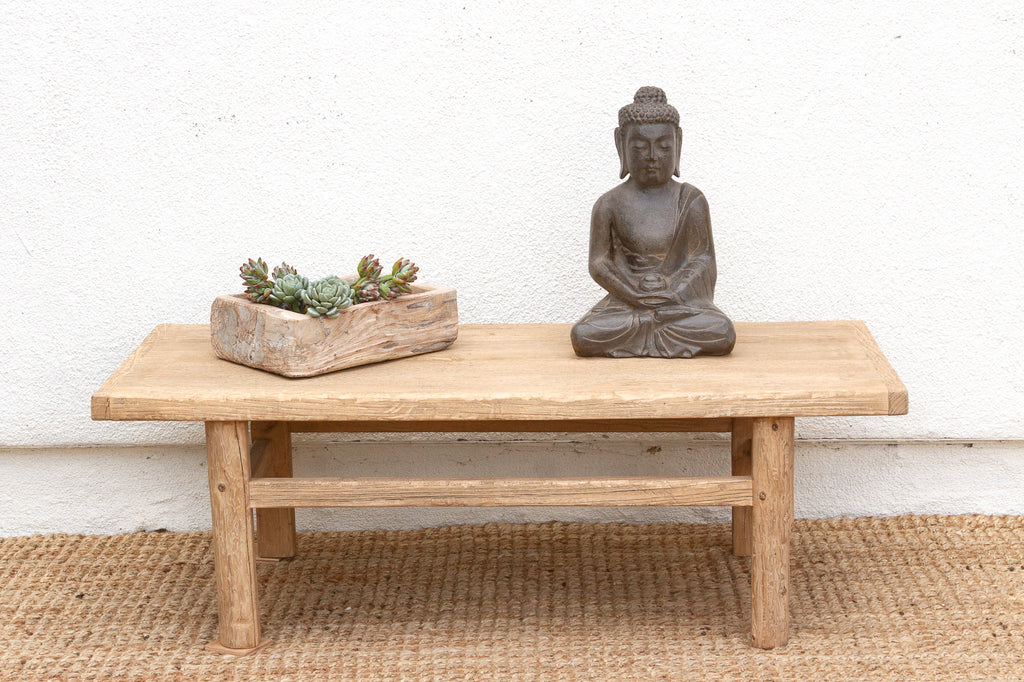 Coastal Chic Old Elm Coffee Table (Trade)