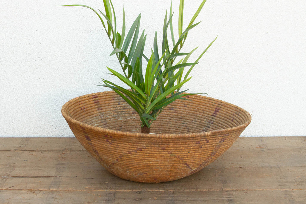 Large Tribal Pattern Nomadic Harvest Bowl (Trade)