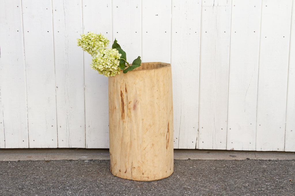 Tall Bleached Tree Trunk Planter
