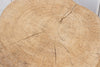 Asian Elm Wood Stump Table