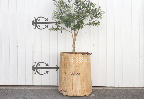 Oversize Bleached Wood Inlaid Planter