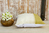 Moidul Organic Silk Pillow
