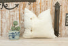 Giaan Organic Silk Pillow (Trade)