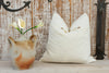 Aashi Organic Silk Pillow