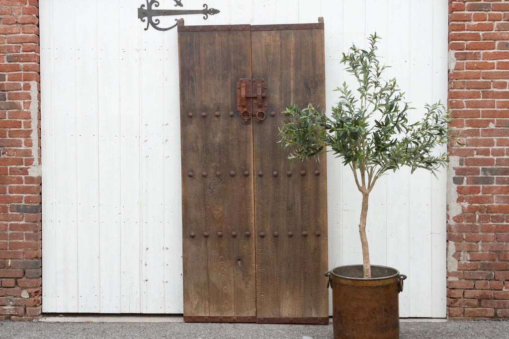 Pair of Antique Oxidized Wooden Doors